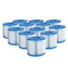 Lot De 12 Cartouches De Filtration Type H Pour Piscines Intex -Magasin Piscines cartouches h spa x12